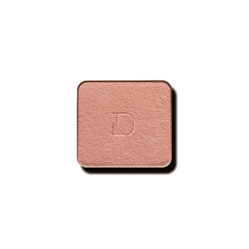 DIEGO DALLA PALMA MATT EYESHADOW
